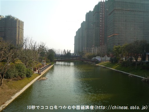 P1080548.jpg