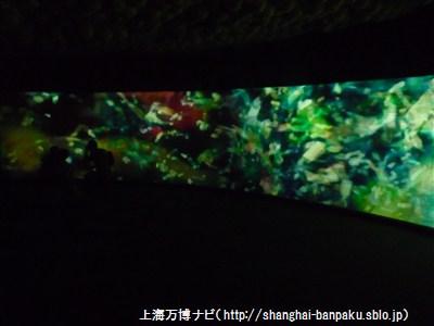 P1060315.jpg