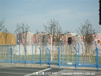 banpaku31.jpg